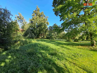 Prodej zahrady, 719 m², Město Albrechtice - 4