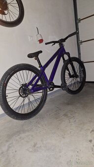 CTM Dirtking expert 2025 - 4