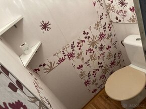 prodej 2+1+L, DV, Krupka Kollarova - 4