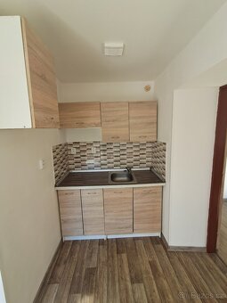 LETOVICE dům se třemi bytovými jednotkami 1+1 - 4