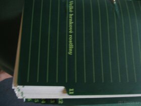 pokojové květiny od A do Z  - - 4