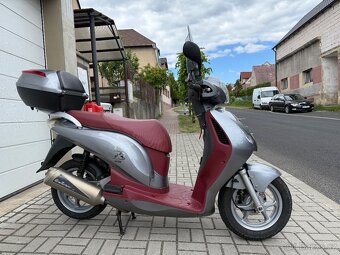 Honda Pes 125i, cz doklady - velice hezká - 4