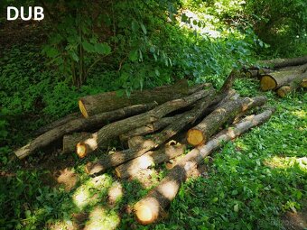 Palivové dřevo - dub, osika - 4
