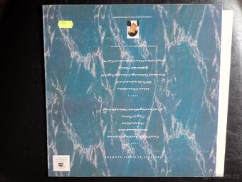 Julio Iglesias Hvězdná Noc LP Vinyl + Rod Stewart g.t hits - 4