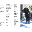 Briard s PP - 4