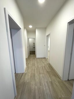 PRONÁJEM BT 3+KK BORŠICE U BLATNICE - 4