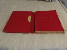 Simetra-1931 - 4
