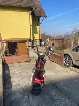 Capirelli urbano - 4