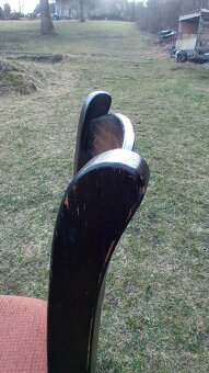 Starožitné židle - 4