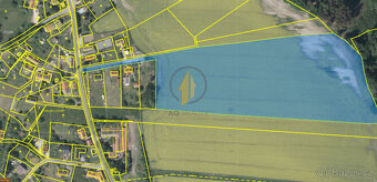 Prodej zemědělského pozemku o CP 44 193 m2 v obci Pařezská L - 4
