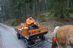 SÁNĚ A VŮZ ZA KONĚ - prodám - 4