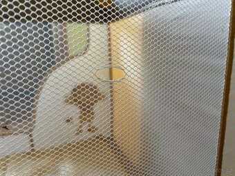 Cestovni postylka - 4