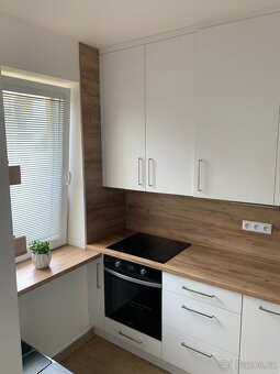 2+kk (70m²) Kroměříž ulice Zborovská - bez RK - 4