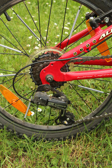 Author Cosmic 20" - 4