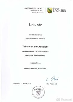 Ponik Klisna - 4