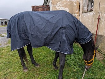 Pláštěnka s krkem 0g, 165cm - 4