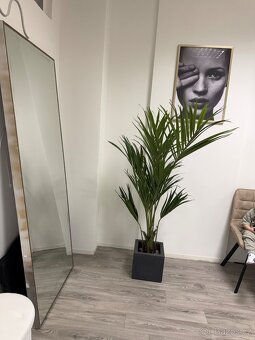 Přenechání kosmetického studia - 4