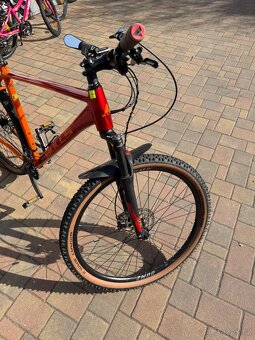 Kolo Bulls XC 29” - 4