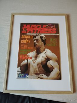 arnold schwarzenegger - 4