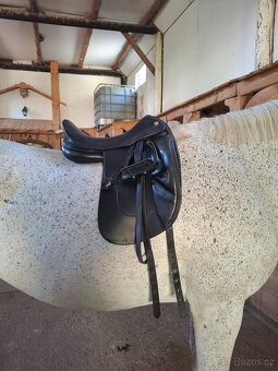 Drezúrne sedlo Prestige Leonardo - 4