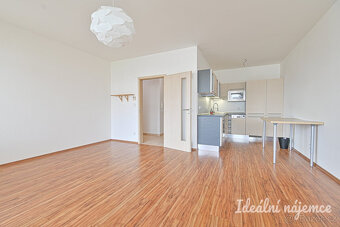 Pronájem bytu 2+kk, Holzova, Líšeň, 20000 Kč/měs, 61 m2 - 4