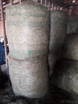 Seno velké kulaté balíky - 4