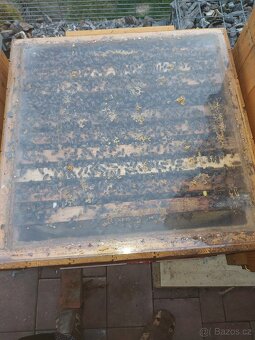 Vyzimované včelí oddělky - včelstva - 4