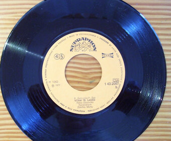 SP deska Petra Černocká 1977/15/ - 4