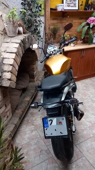 Honda Hornet 600 - 4
