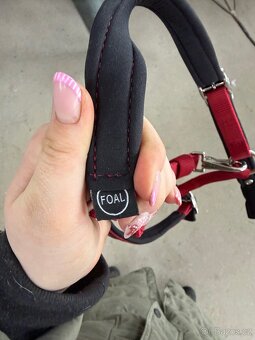 Prodám ohlávku Eskadron – hříběcí - 4