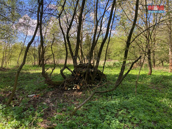 Prodej chaty, 16 m², Zbraslavice - Kateřinky, pozemek 459 m² - 4