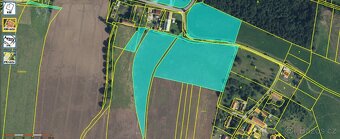 Prodej pozemků v kú Starý ples, Veselice nad Metují - 7,4 ha - 4