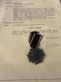 NSDAP za 10 rokov v bronze - 4