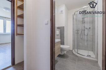 Pronájem bytu 1+KK, Budovatelů - 4