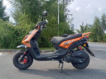 Kentoya Hamster-I - 4