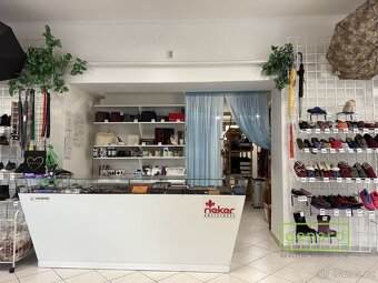 Pronájem obchodního prostoru - 4