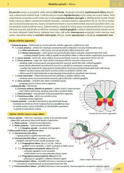 MEMORIX HISTOLOGIE - 4