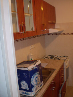 Pronajmu byt 1+1 - 4