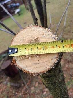 AKU řetězová pilka na větvě. 2x baterie. Nová - 4