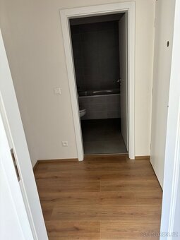 Pronájem bytu 1+kk - 4