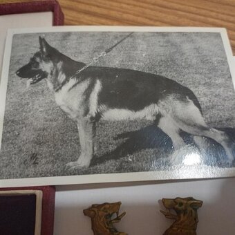 POHRANIČNÍ STRÁŽ - 4