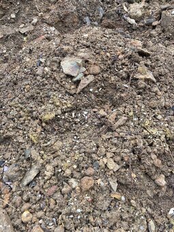 Zemina z výkopu - 4