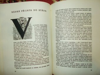 Vůdce stáda kniha r. 1929 - 4