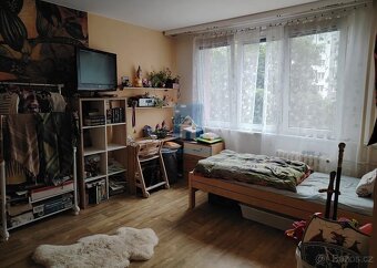 Prodej bytu 1+1 Plzeň, ulice Sokolovská, 40 m2 - 4