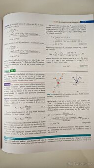 Fyzika 1+2 - Halliday, Walker, Resnick - 4