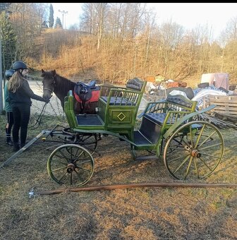 Bryčka, kočár, vůz za pony - 4