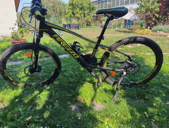 Chlapecké kolo Arezzo Roco 24" černá/zelená - 4