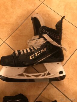 Brusle ccm ribcor 100k pro - 4