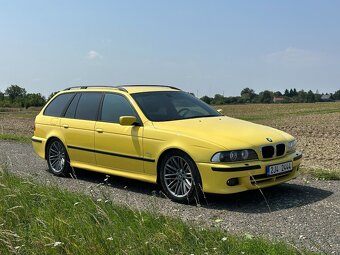 BMW E39 530d Individual Dakargelb - 4