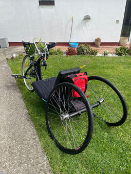 Handbike - 4